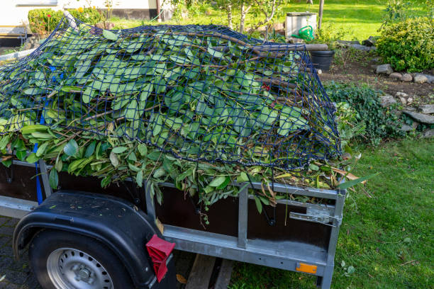 Best Furniture Removal  in Wausau, WI